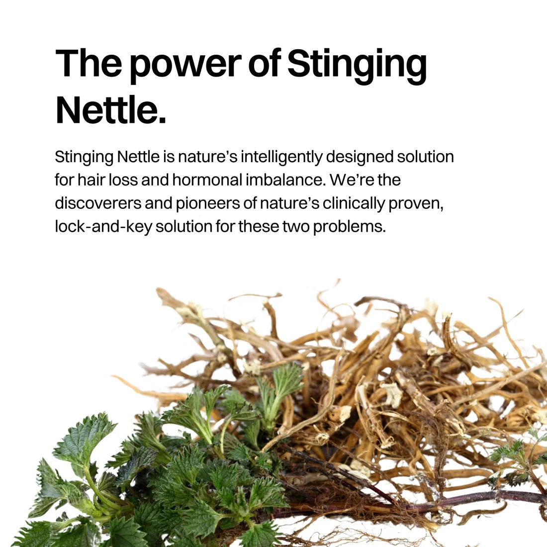 Hair & Prostate Bags Men additional image